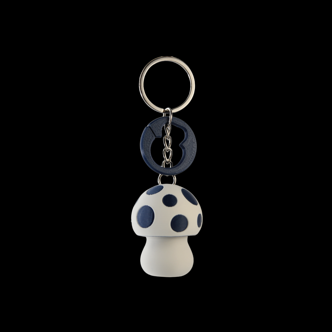White Bone & Midnight Blue
