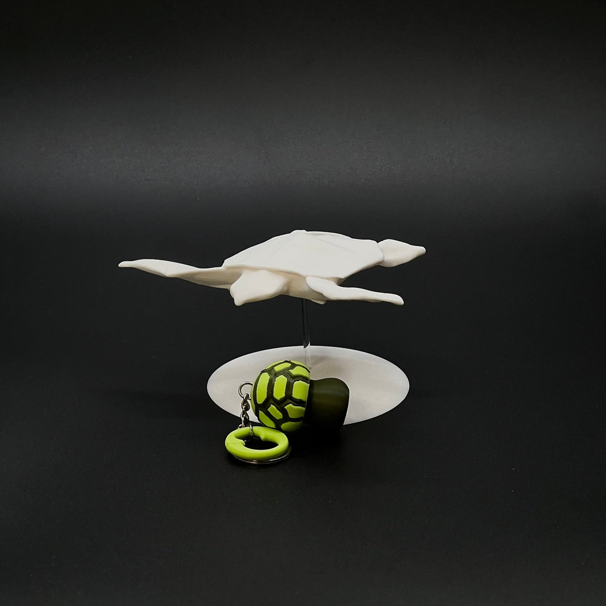 Orii Turtle accanto al fungo sporeon Turtle, per capire le dimensioni
