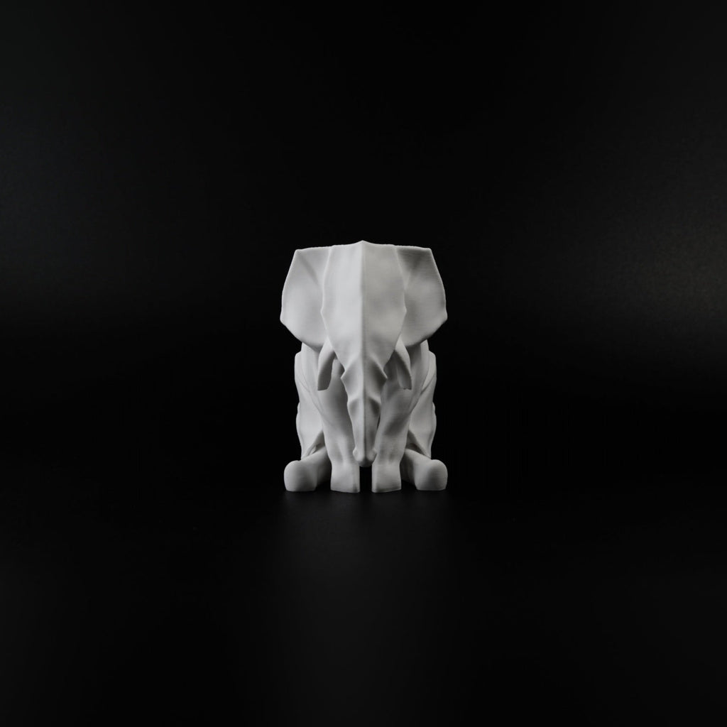 Sitting Elephant