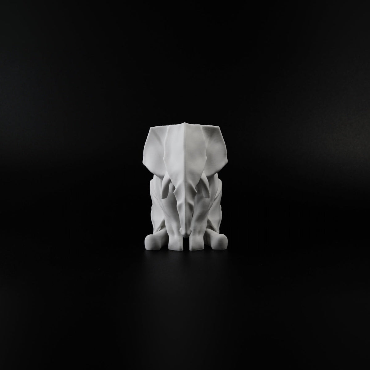 Sitting Elephant
