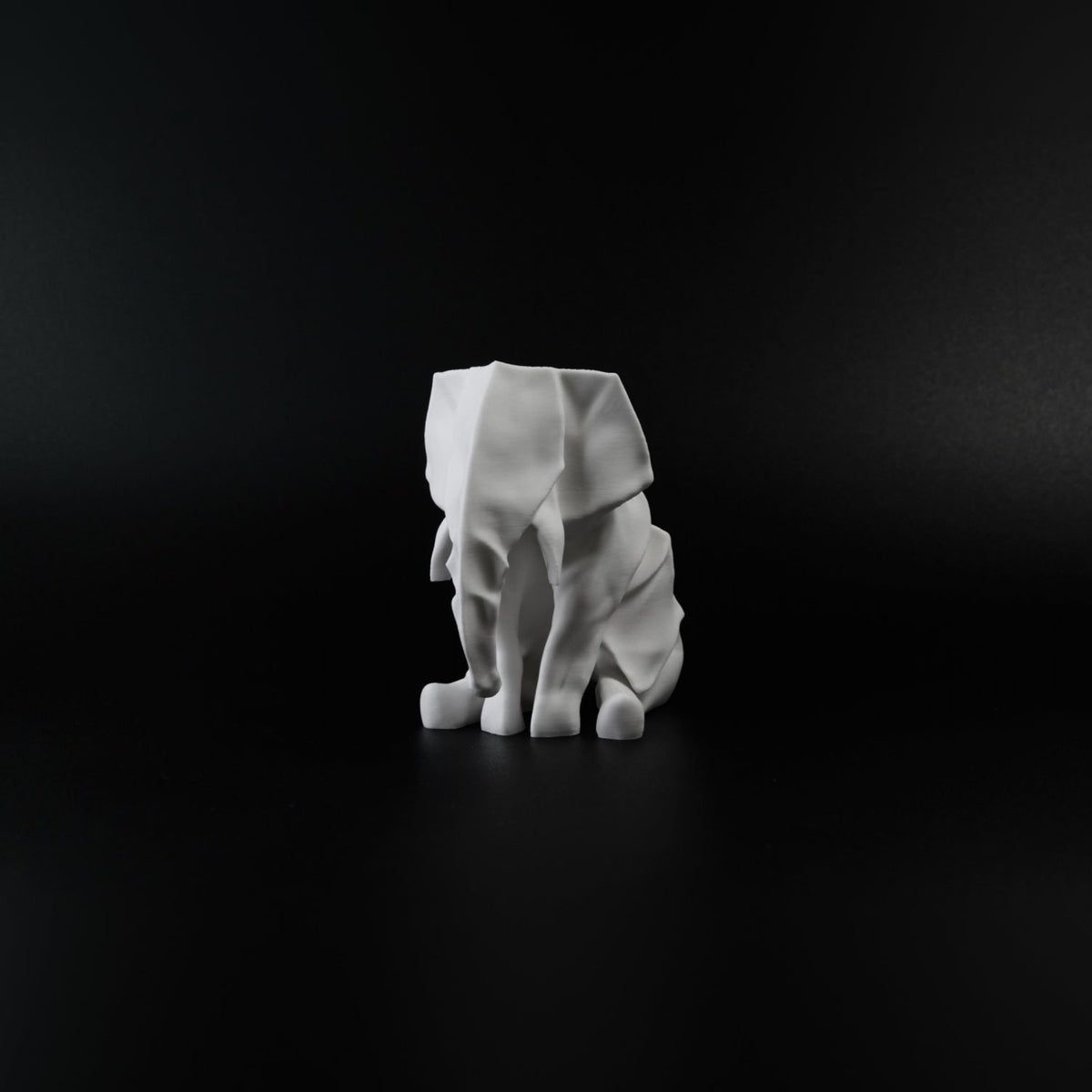 Sitting Elephant
