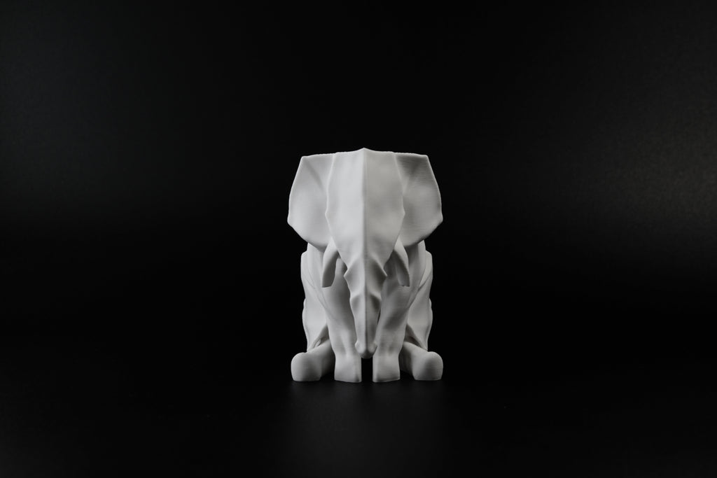 Sitting Elephant