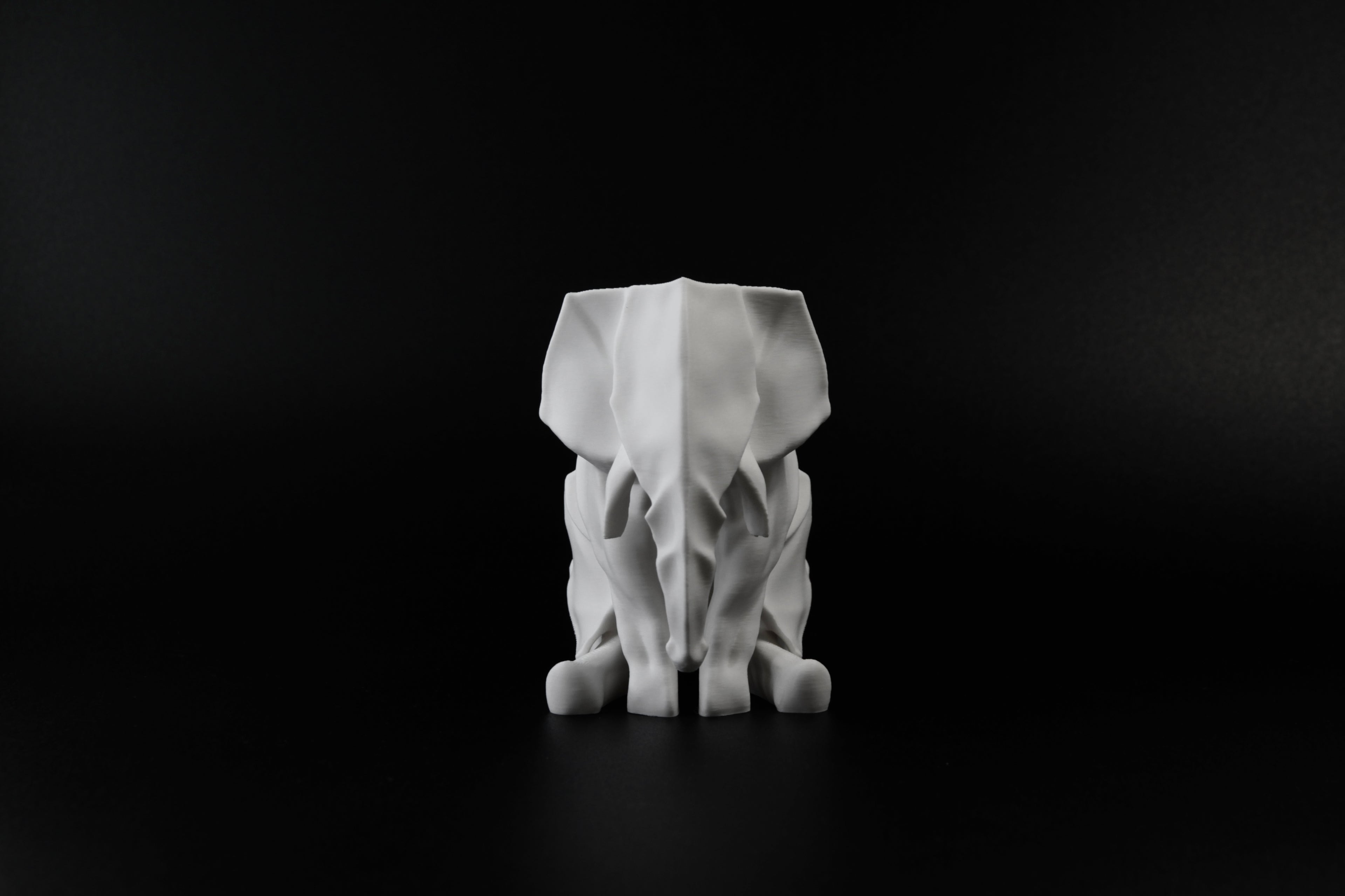 Sitting Elephant
