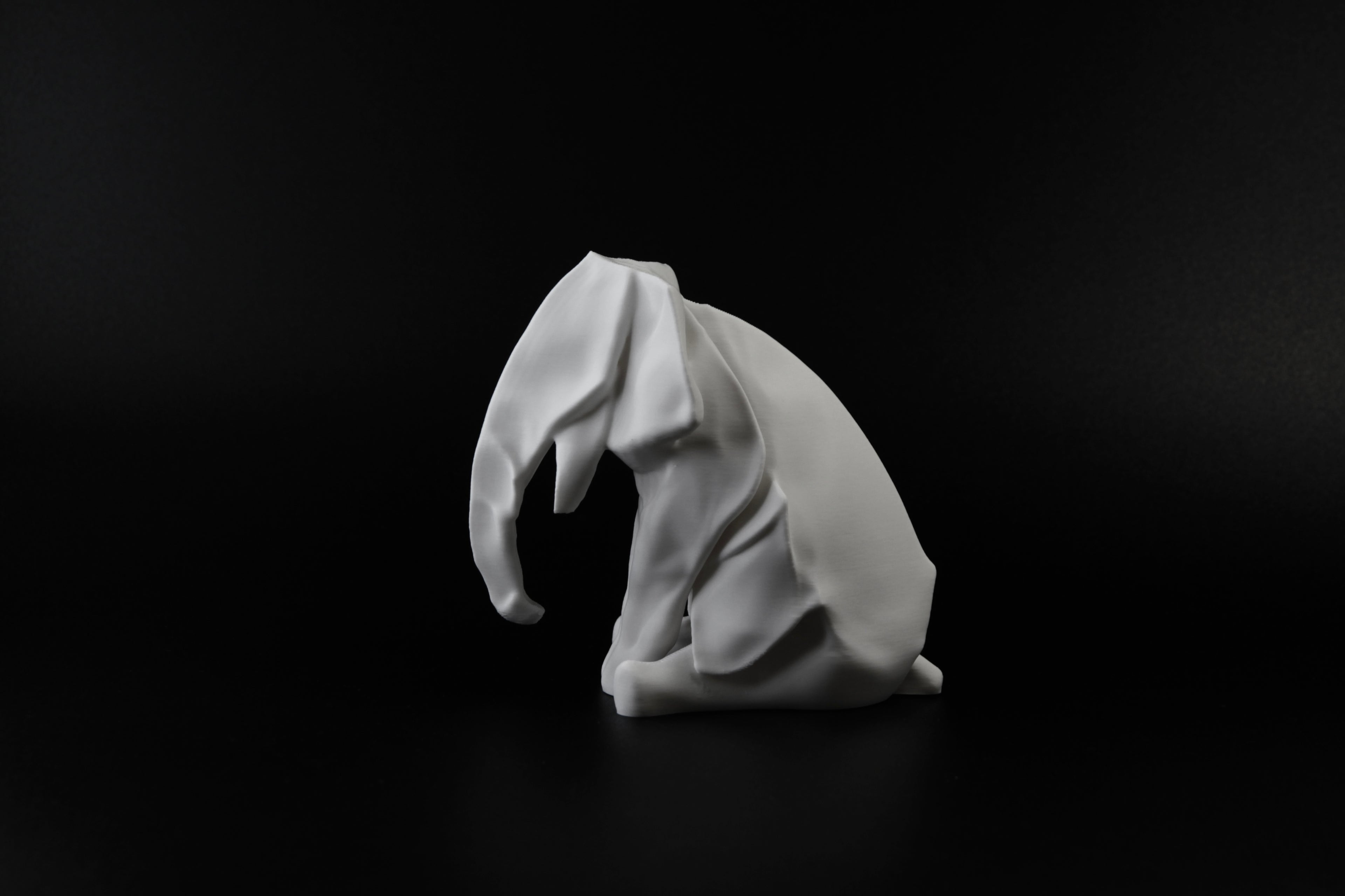 Sitting Elephant