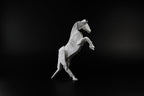 Prancing Horse